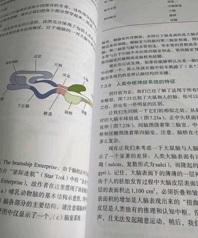 1782959962875790.jpg